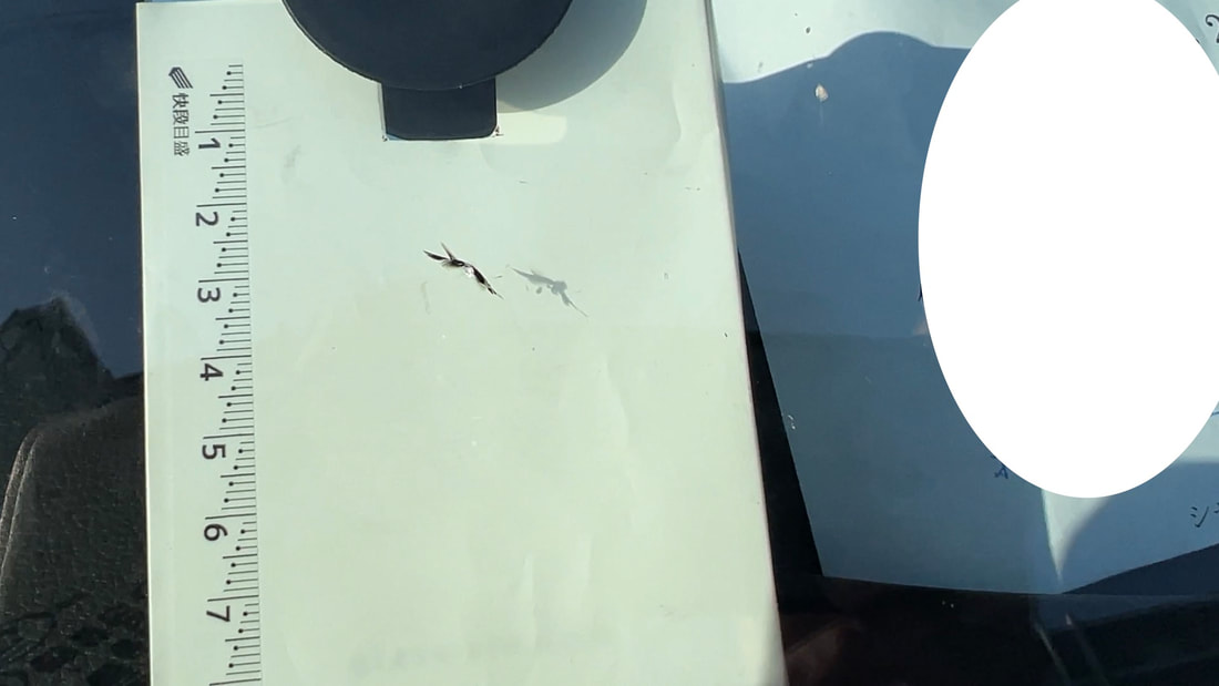 アウディQ3のフロントガラスに飛び石傷は１センチ弱