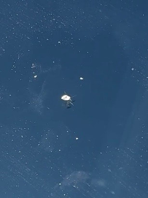 フロントガラスの表面の欠けが大きな飛び石傷